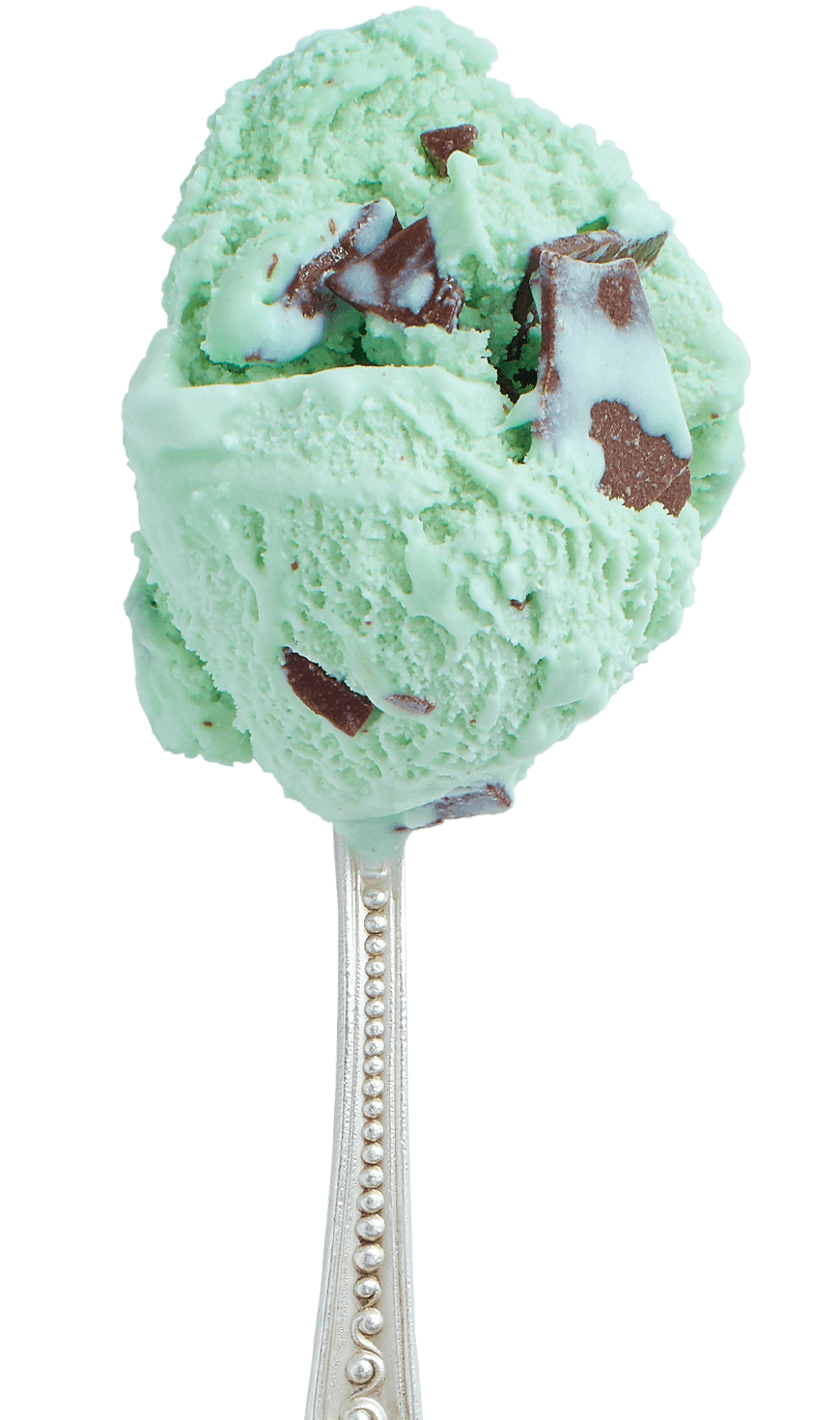 mint chocolate chip ice cream