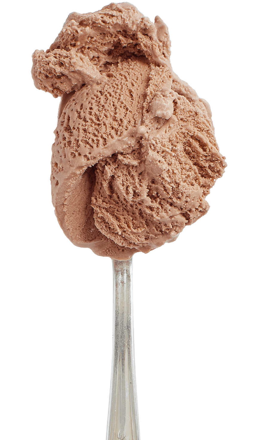CLASSIC CHOCOLATE - Hudsonville Ice Cream