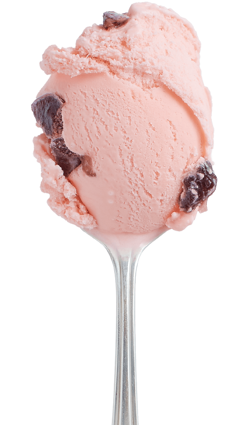 Black Cherry Hudsonville Ice Cream 4904
