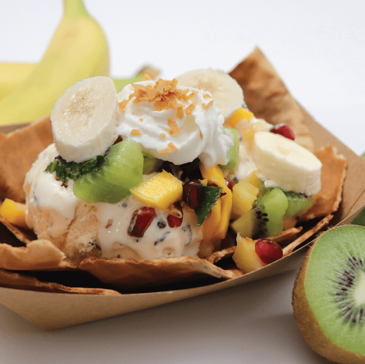 Toasted coconut hudsonville ice cream